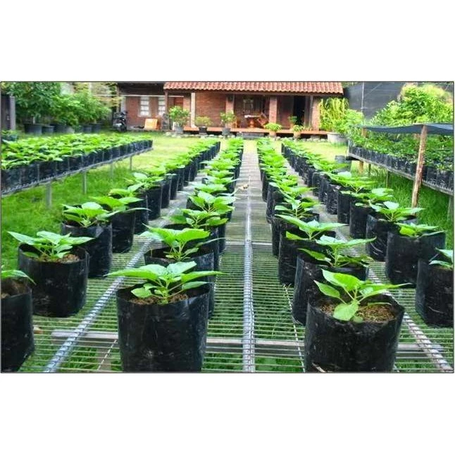 Polybag tanaman ukuran 30 x 30 isi 50 pcs / polibag plastik tebal